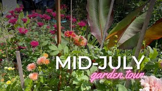 MidJuly Garden Tour 2024  growing tropicals in Minnesota [upl. by Nannaihr830]