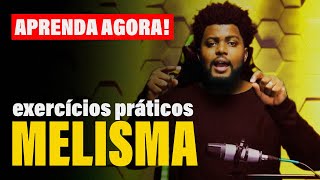 Melisma Sem Segredo  Aprenda A Fazer Melisma [upl. by Jonathon]