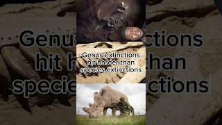 Some extinctions are worse 🤔 Massextinction Extinction Endangeredspecies Extinctanimals [upl. by Oivatco]