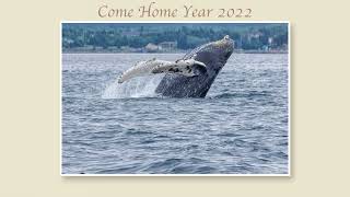 Come Home Year New Harbour 2022 [upl. by Zeculon395]