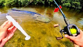 Un POISSON GÉANT inattendu dans cette petite rivière  Pêche au leurre [upl. by Omissam]