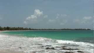 Martinique  Petite Anse et Grande Anse des Salines [upl. by Paucker]