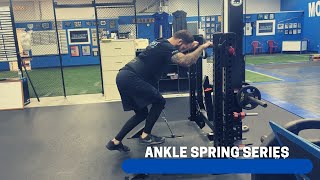 Ankle Spring Series l Cal Dietz l FootAnkle Training l [upl. by Marlie500]