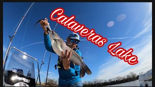 Calaveras Lake fishing on the Mako Pro Skiff for Catfish Jan192023 [upl. by Magbie332]