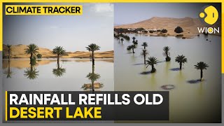 Water Gushes Through Sand Of Sahara  WION Climate Tracker  World News [upl. by Leor]