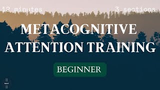 Beginner 6  Attention Training Technique ATT  Metacognitive Therapy MCT [upl. by Ahtamat520]