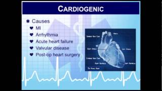 Critical Care Paramedic 14 Vasopressors and Inotropes in the Pharmacotherapy of Shock [upl. by Nirehs353]