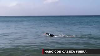 Ejercicios técnicos de natación en aguas abiertas Orientación [upl. by Heddie469]