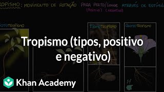 Tropismo tipos positivo e negativo [upl. by Kathrine]