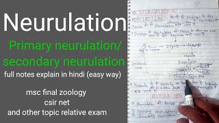 NEURULATION  PRIMARY NEURULATION  SECONDARY NEURULATION  NEURULATION AND ITS TYPE [upl. by Jasmine]