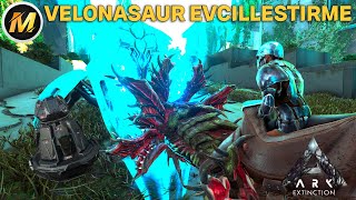 VELONASAUR EVCİLLEŞTİRME I ARK SURVİVAL EVOLVED EXTİNCTİON I BÖLÜM 6  MODSUZ [upl. by Kerin]