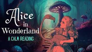 Reading of Alice in Wonderland  full audiobook  Story Reading for Sleep  Relaxing Reading [upl. by Hollenbeck]