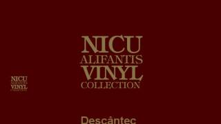 Nicu Alifantis  Descantec [upl. by Willabella260]