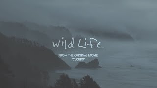 OneRepublic  Wild Life Lyric Video [upl. by Daron260]