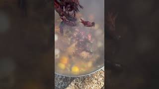 Crawfish Cookoff [upl. by Nalim]