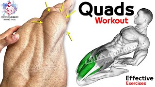 7 Easy Exercises Quadriceps Workout  Leg Day [upl. by Goldfarb]