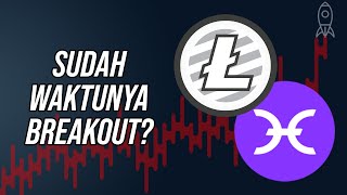 Bahas Analisa amp Prediksi Harga LTC amp HOT  HOLOCHAIN  Bersiap TO THE MOON [upl. by Gianni]