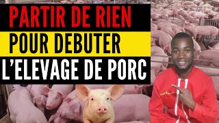 DEBUTER votre PROJET DELEVAGE DES PORCS maintenant PARTIR DE RIEN investir au pays dans PORC [upl. by Wallache549]