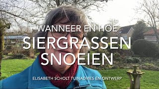 Wanneer en hoe SIERGRASSEN snoeien [upl. by Durman]