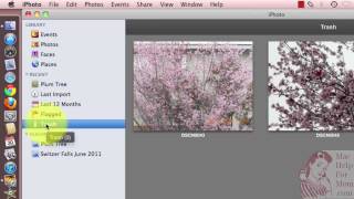 How to empty the iPhoto Trash [upl. by Aneerbas]