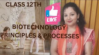 Biotechnology Principles Made Easy for Class 12 Students [upl. by Gamages]