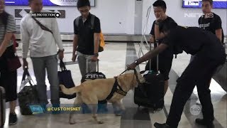 VIRAL Moment Mengharukan Seekor Anjing Bertemu Majikannya [upl. by Courtenay301]