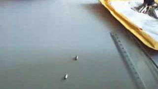 Neodymium Magnets [upl. by Yema]