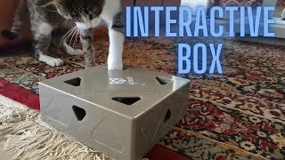 Cat Trying to Catch the Feather  Automatic Interactive Box for Cats [upl. by Skippie184]