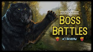 Boss Battles  3 50 Kills Of Broadpaw New World [upl. by Nilknarf]