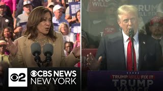 Trump Harris focus on economy in closing messages to voters [upl. by Nnylirak786]