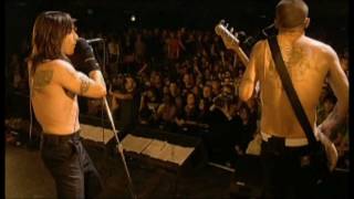 Red Hot Chili Peppers  Sex Rap  Live at La Cigale 2006 HD [upl. by Buffy]