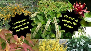 Landscape Garden Ideas  Flowering Shrubs for Shade [upl. by Aderb]