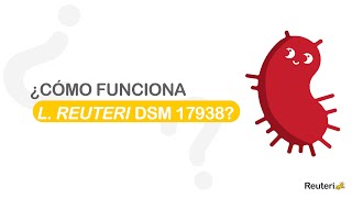 ¿Cómo funciona L Reuteri DSM 17938 [upl. by Anitroc]