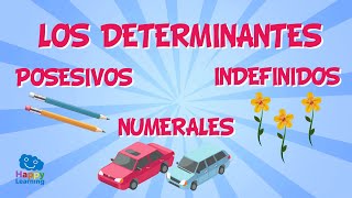 Los determinantes posesivos numerales e indefinidos  Vídeo Educativo para Niños [upl. by Hannazus]