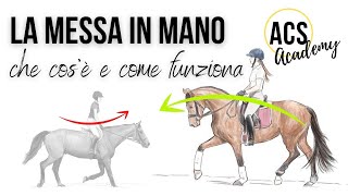 Equitazione La MESSA IN MANO [upl. by Ecinom297]