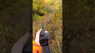 🎯 hunting chasse wildboar охота caccia hog [upl. by Uchish]