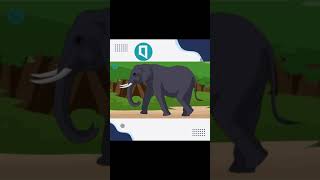 class5bangla story fun learning babyrhymes bakbakum banglacartoon banglafunnycartoon [upl. by Nylareg]