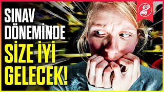 Sınavda 10 Puan Öne Geçmek İçin Bu Videoyu İzleyin [upl. by Heinrick]