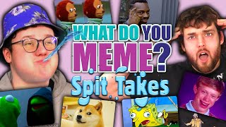 Try Not To Laugh  Water Challenge  What Do You Meme [upl. by Ulane]