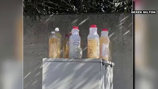 Botellas de aparente orina abandonadas rutinariamente en Pasadena [upl. by Aihtekal210]