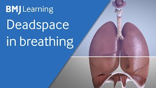 Basics of ventilation Deadspace in breathing [upl. by Jollenta301]