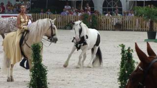 Paard los op hollands next top horse finale [upl. by Ayim]