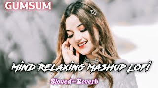 Gumsum New song 2024  SlowedReverb New Hindi Song [upl. by Sadnak84]