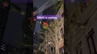 XMAS is coming to town xmas christmas wanchaihongkong wanchai hongkong leetungavenue 聖誕節 [upl. by Onitrof322]