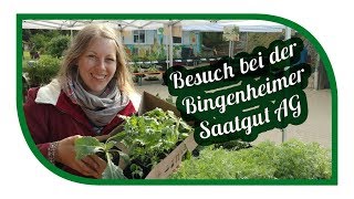 Besuch bei Bingenheimer Saatgut AG 🌱 Tag der offenen Tür [upl. by Lupee103]