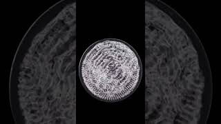 Equilibrium Tube  Himmelsrand Cymatic Music Video [upl. by Eitsyrc]