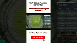 real cricket 24 fielding setup in test match rc 24 shorts [upl. by Zealand]