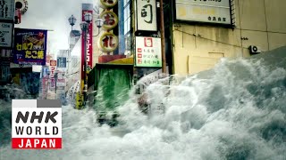 Osaka Metropolis  BOSAI Science that Can Save Your Life [upl. by Aztinad581]