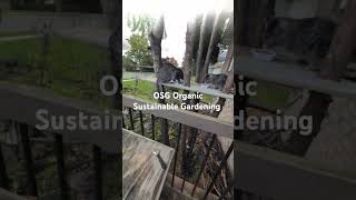 DIY peterborough ontario spiderweb web networkmarketing osg climatechange growup [upl. by Mcgannon]