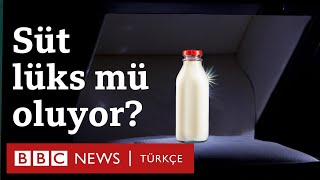 Süt neden pahalı Süt peynir yoğurt lüks mü oluyor [upl. by Ade]